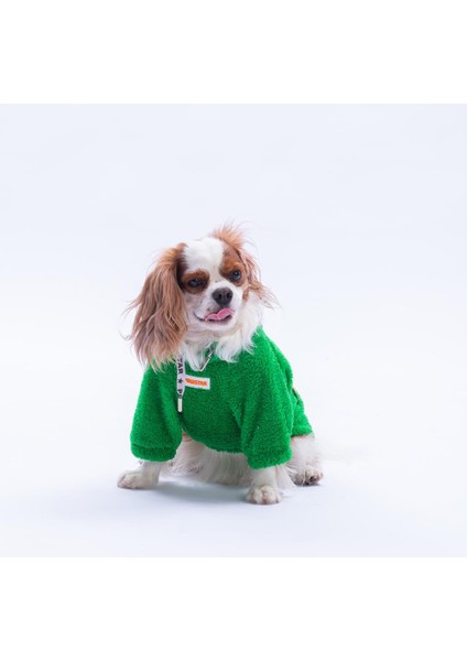 Yeşil Oslo Chill Küçük Irk Köpek Pofuduk Sweatshirt modelleri