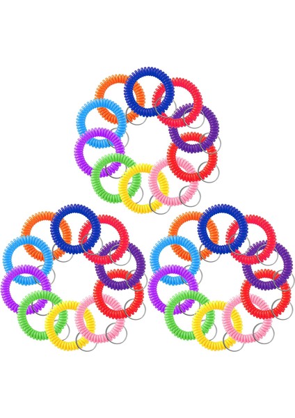 300 Pcs Renkli Yay Bileği Anahtarı Gerilebilir Bilek Anahtarlık Bilek Bilgisi Bilek Bandı Anahtar Yüzük Zinciri (Yurt Dışından)