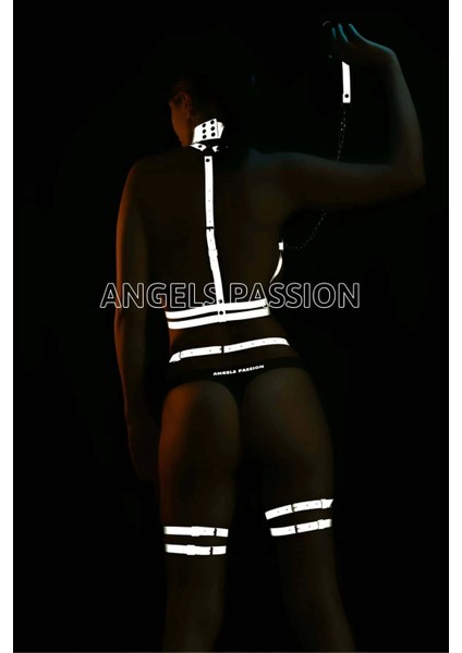 Parlak Jartiyer Takım Reflektörlü Harness Takım - APFT516 fiyatları