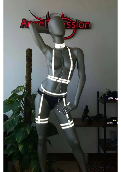 Parlak Jartiyer Takım Reflektörlü Harness Takım - APFT516 fırsatları