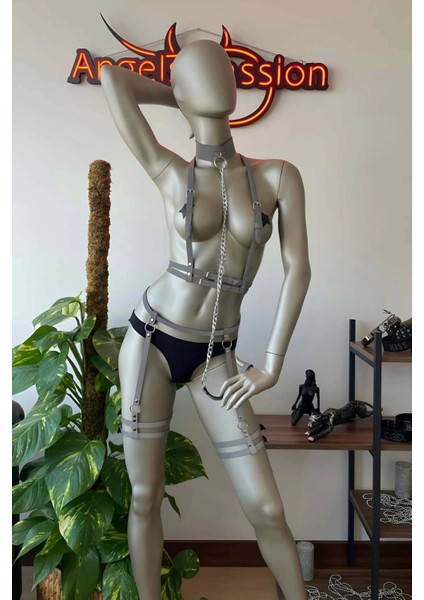 Parlak Jartiyer Takım Reflektörlü Harness Takım - APFT516 indirimleri