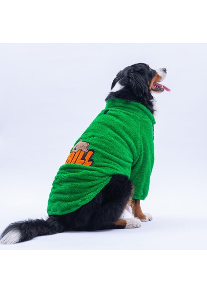 Yeşil Oslo Chill Urban Moods Peluş Orta Büyük Irklar Köpek Kıyafeti Köpek Sweati