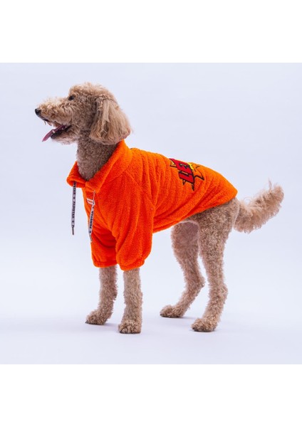Turuncu Doha Go! Urban Moods Peluş Orta Büyük Irklar Köpek Kıyafeti Köpek Sweati modelleri