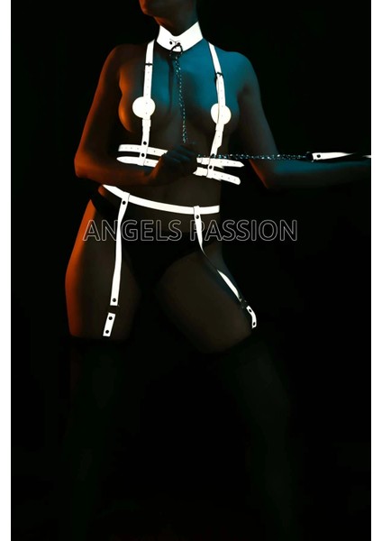 Özel Reflektörlü Tasmalı Jartiyer Takım Harness - APFT233 fiyatları