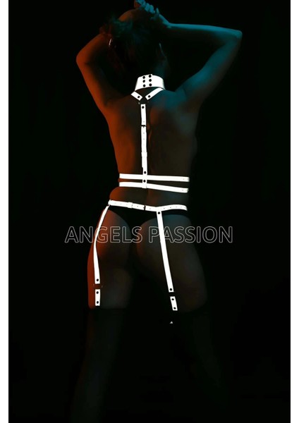 Özel Reflektörlü Tasmalı Jartiyer Takım Harness - APFT233 modelleri