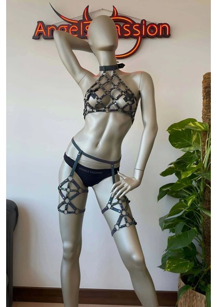 Rainbow Reflektörlü Seksi Jartiyer Iç Giyim Takım - APFT460 fırsatları