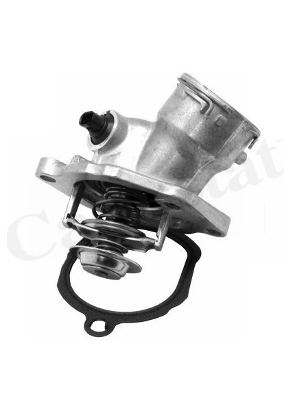 TERMOSTAT 100 C MERCEDES M273 W212 S212 C207 A207 W463 W221 W166 W251 C216 R230 A2732000215