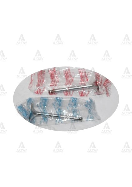 SUPAP TAKIM POLO / CORDOBA / FABİA 2004-2009 (AMF-BNV-BNM) 1.4 TDI 65 038109601E 611E