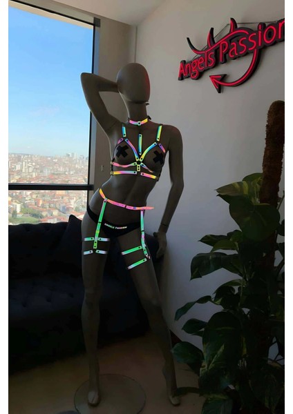 Jartiyer Takım Reflektörlü Özel Harness Takım fırsatları