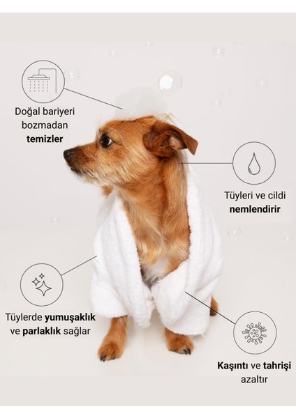 Vücut ve Pati Şampuanı Bit Pire Kene Parazit Uzaklaştırıcı Tahriş Giderici Vegan Organik Kedi Köpek 400 ml fiyatları