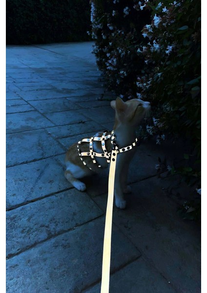 Renkli Reflektör Karanlıkta Parlayan Şık Kedi Harness, Kedi Yürüme Tasması, Kedi Güvenlik Tasması - NPC011 fiyatları