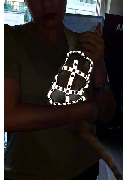 Renkli Reflektör Karanlıkta Parlayan Şık Kedi Harness, Kedi Yürüme Tasması, Kedi Güvenlik Tasması - NPC011 indirimleri