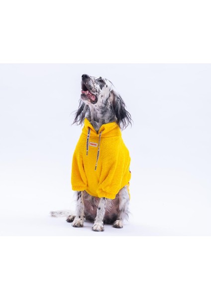 Sarı Porto Cozy Urban Moods Peluş Orta Büyük Irklar Köpek Kıyafeti Köpek Sweati modelleri
