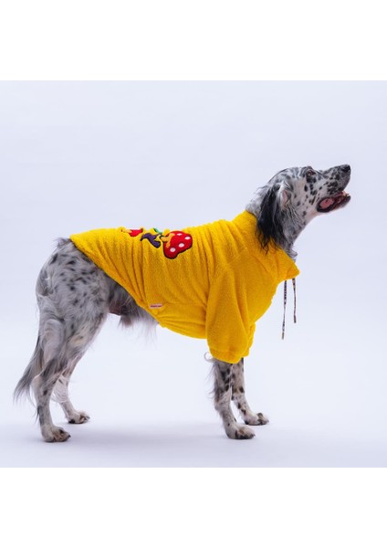 Sarı Porto Cozy Urban Moods Peluş Orta Büyük Irklar Köpek Kıyafeti Köpek Sweati fırsatları