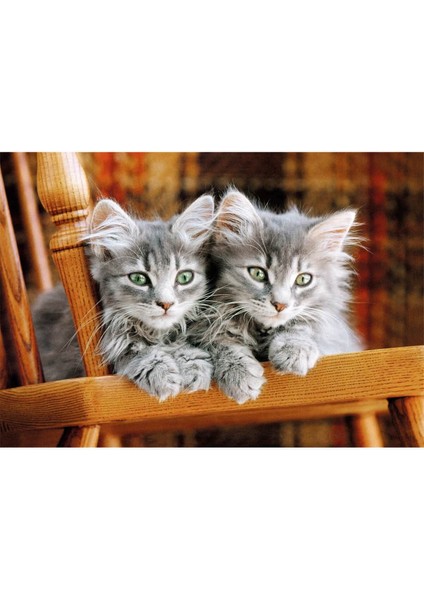 500 Parça Puzzle: Kittens fiyatları