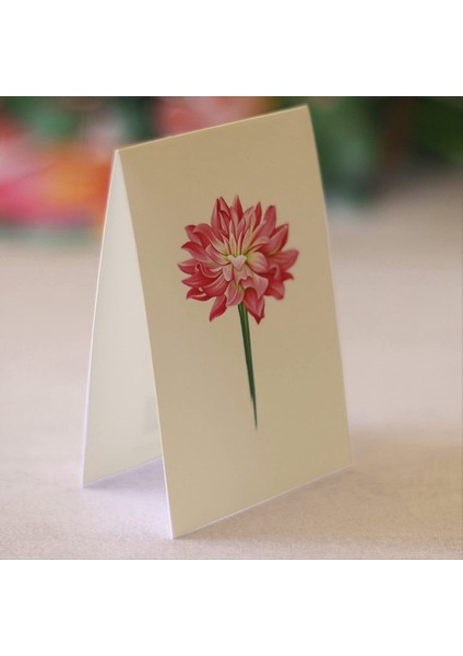 Pop-Up Kartlar Sevgili Dahlia 13 8 Inç Hayat Boyutlu Sonsuza Dek Çiçek Buket 3D Pop-Up Tebrik Kartları Notla (Yurt Dışından) fırsatları