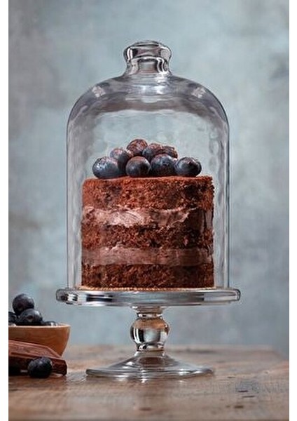 Mıdı Patısserıe Cam Servis Fanusu 23 cm Ayaklı Kullanım İçin modelleri