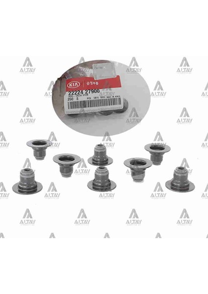 SUPAP LASTİĞİ ACCENT 2003-2006 1.5 / GETZ 2003-2006 / D3EA DİZEL 125 22224 27900 (8 ADET)