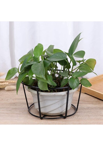 8 Adet Asılı Korkuluk Ekicileri Saksı Saksı Tutucular Bitki Demir Raflar Çit Metal Saksı Standı Monte Balkon Sepetleri Küçük (Yurt Dışından) fırsatları