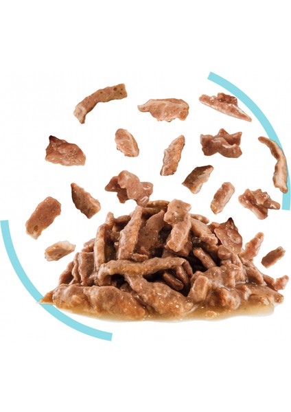 Sensory Duyusal His için Sos İçerisinde Yaş Kedi Maması 12 x 85g