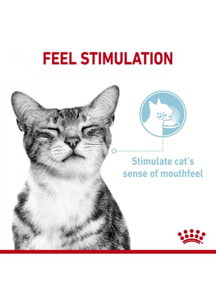 Sensory Duyusal His için Sos İçerisinde Yaş Kedi Maması 12 x 85g