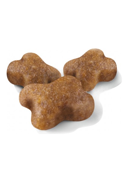 Kitten Yavru Kediler Için Kuru Kedi Maması 400g