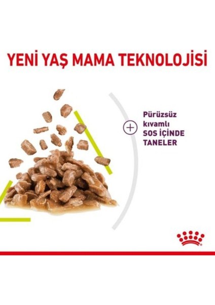 Sensory Koku Duyusu için Sos İçerisinde Yaş Kedi Mama