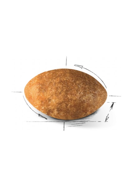İran Kedisi Için Kuru Kedi Maması 2kg