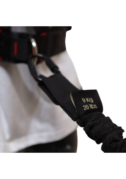 Dirençli Ağırlık Antrenman Kemeri| 3 Karabinalı Set — Hortum Kolonlu Lastik, Omuz Koruyucu, Alüminyum Kilitli Karabina