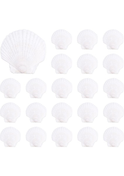 25PCS Doğal Tarak Kabuğu El Yapımı Diy Yaratıcı Üretim Için Özel El Yapımı Diy Yaratıcı Boyama Kabuğu (Yurt Dışından)