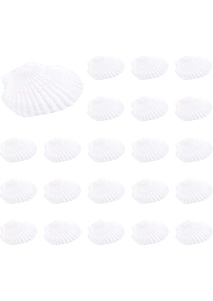 25PCS Doğal Tarak Kabuğu El Yapımı Diy Yaratıcı Üretim Için Özel El Yapımı Diy Yaratıcı Boyama Kabuğu (Yurt Dışından) fiyatları