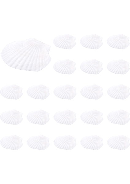 25PCS Doğal Tarak Kabuğu El Yapımı Diy Yaratıcı Üretim Için Özel El Yapımı Diy Yaratıcı Boyama Kabuğu (Yurt Dışından) modelleri