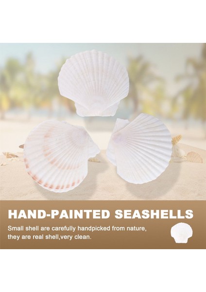 25PCS Doğal Tarak Kabuğu El Yapımı Diy Yaratıcı Üretim Için Özel El Yapımı Diy Yaratıcı Boyama Kabuğu (Yurt Dışından) indirimleri