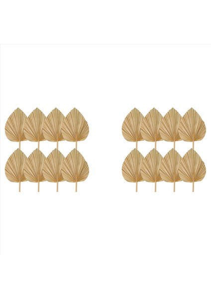 16PCS Kurutulmuş Palmiye Yaprakları Dekorasyonlar Kesilmiş Kurutulmuş Palmiye Mızrak Fanları Tropikal Kurutulmuş Düğün Çiçekleri Boho Düğün Dekoru (Yurt Dışından)