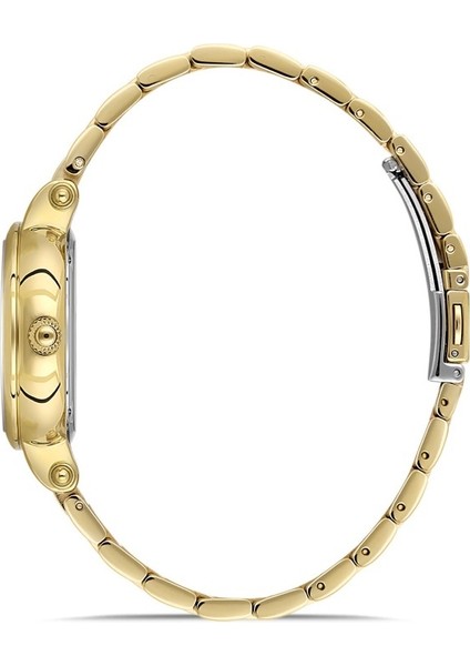 DK.1.AG1403.05 Fonksiyonlar Aktif 5 Atm Suya Dayanıklı Altın Renk Kadın Kol Saati fiyatları