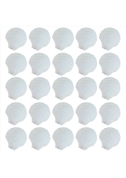 50PCS Doğal Tarak Kabuğu El Yapımı Diy Yaratıcı Üretim Için Özel El Yapımı Diy Yaratıcı Boyama Kabuğu (Yurt Dışından) fiyatları