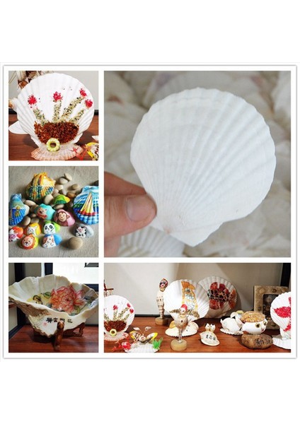 50PCS Doğal Tarak Kabuğu El Yapımı Diy Yaratıcı Üretim Için Özel El Yapımı Diy Yaratıcı Boyama Kabuğu (Yurt Dışından) modelleri