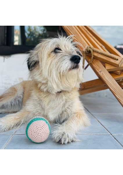 Örgü Kemik ve Top Pamuklu ve Doğa Dostu Köpek Oyuncağı Seti