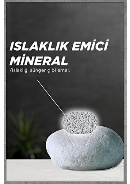 Mineral Kadın ve Garnier Men Roll-On Deodorant 50 ml Leke ve Renk Solmasına Karşı