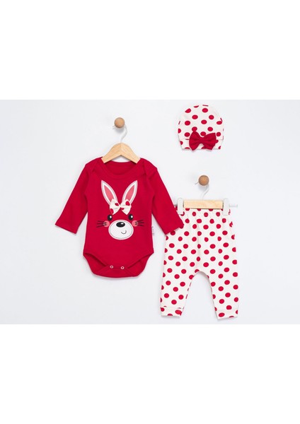 Tavşan Nakışlı Üçlü Kız Bebe Takım