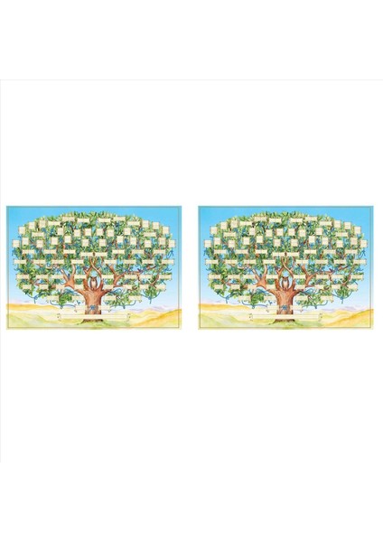 2x Aile Ağacı Grafiği 6 Nesil Şecere Poster Boş Doldurulabilir Ancestry Grafiği Baskı Aile Ağacı Resim A&#39 Yı Doldurmak Için (Yurt Dışından)