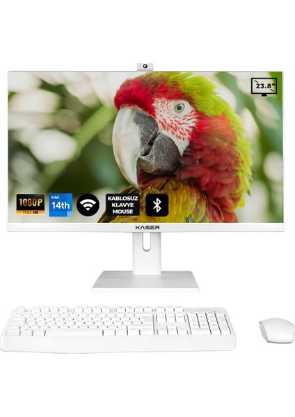 XS162 I5 14400 8gb Ram 512GB SSD 23.8" Webcam + Wifi+ Bt All In One Bilgisayar