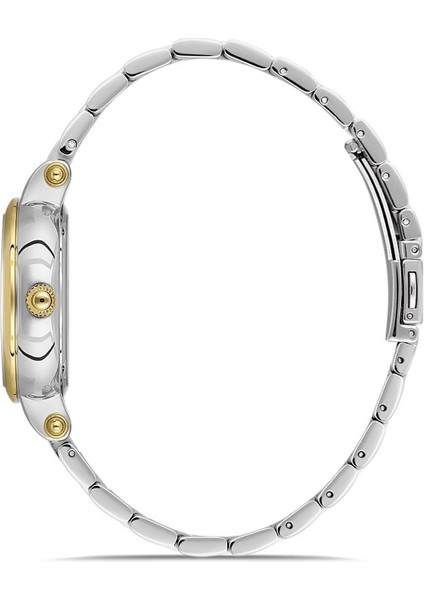 DK.1.AG1403.03 Fonksiyonlar Aktif 5 Atm Suya Dayanıklı Metalik-Altın Renk Kadın Kol Saati fiyatları