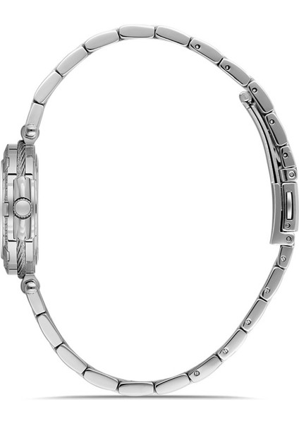 DK.1.AG1398.01 Takvimli Çelik Kasa 5 Atm Suya Dayanıklı Metalik Renk Kadın Kol Saati fiyatları