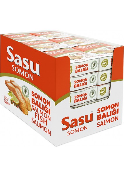 Somon Balığı 1 Koli 24x160 gr Bütün Dilim
