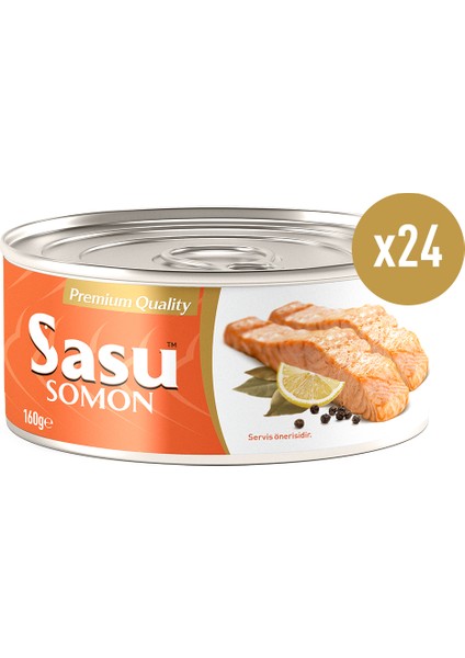 Somon Balığı 1 Koli 24x160 gr Bütün Dilim fiyatları