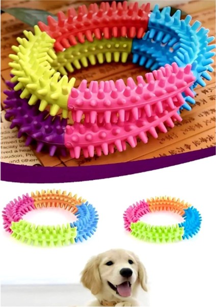 Köpek Isırma Diş Kaşıma Çemberi