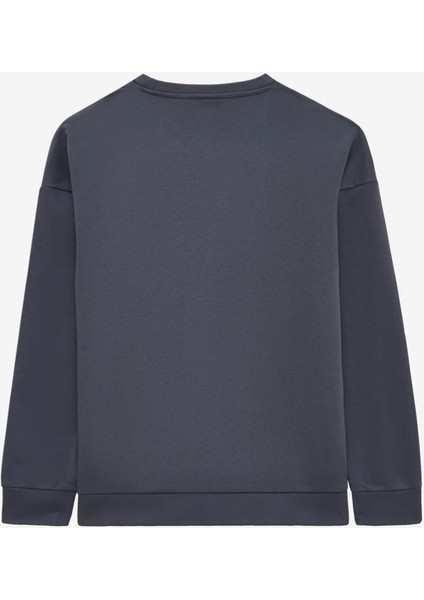M Essential Crewneck Sweatshirt Erkek Gri Sweatshirt S2610015-3998 fiyatları