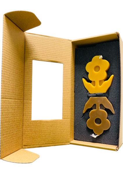 Papatya Bal Mumu 2’Li Takım