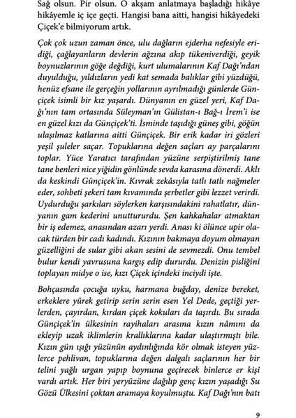 Taşıyacak Bizi Rüzgar - Merve Uygun